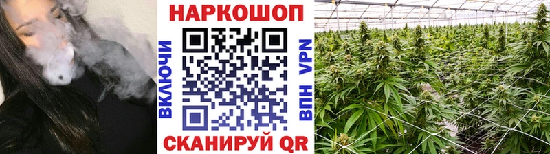Где купить наркоту Ядрин APVP COCAIN Псилоцибиновые грибы кракен рабочий сайт Гашиш МАРИХУАНА