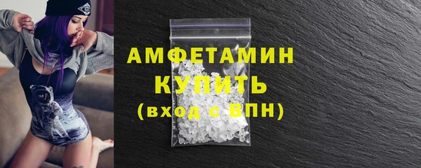 крисы Новодвинск