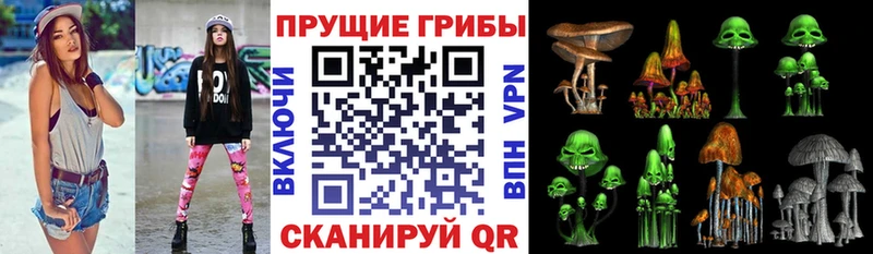 купить Ядрин Псилоцибиновые грибы мицелий